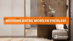 Modern Antre Mobilya Fikirleri 2025  